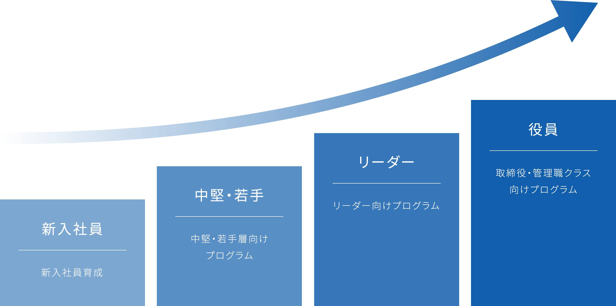 新入社員:新入社員育成 中堅・若手:中堅・若手層向けプログラム リーダー:リーダー向けプログラム 役員:取締役・管理職クラス向けプログラム